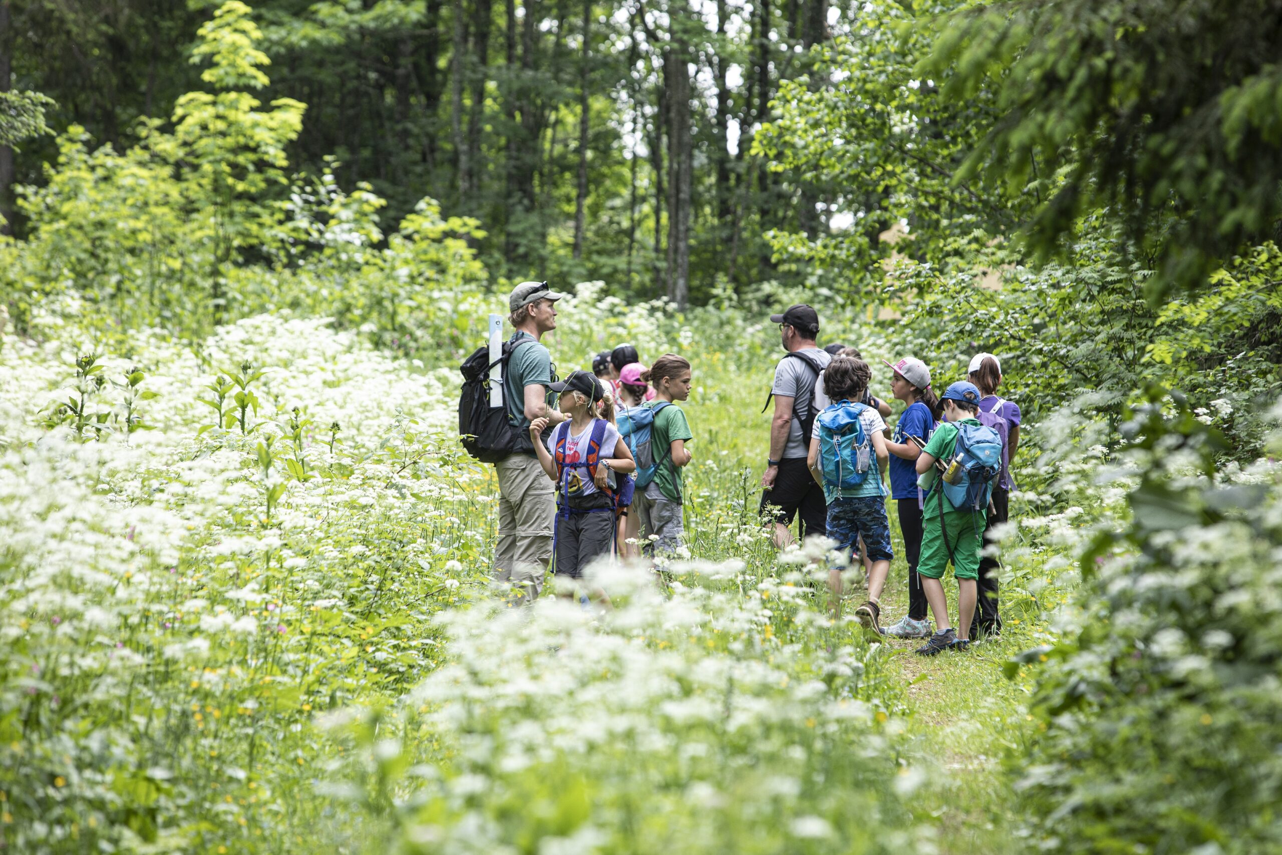 Art-en-vue: Dialog Avec Le Paysage Resju21 | Réseau d'écoles en santé