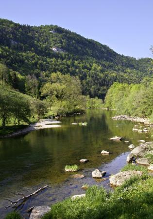 Gallery_alain_perret_doubs_charbonniaere_w=315&h=450&zc=c Resju21 | Réseau d'écoles en santé